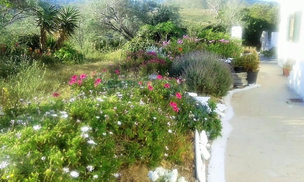Villa Avgoustis' Stone House à Otziás Extérieur photo